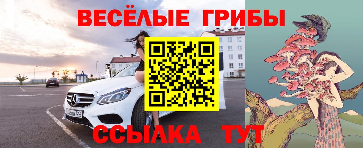Кропоткин  Галлюциногенные грибы Psilocybine cubensis  закладка  Вход с VPN 